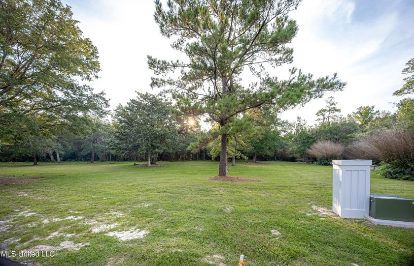 Gorgeous, centuries-old majestic oaks line these level, one-acre - photo 4