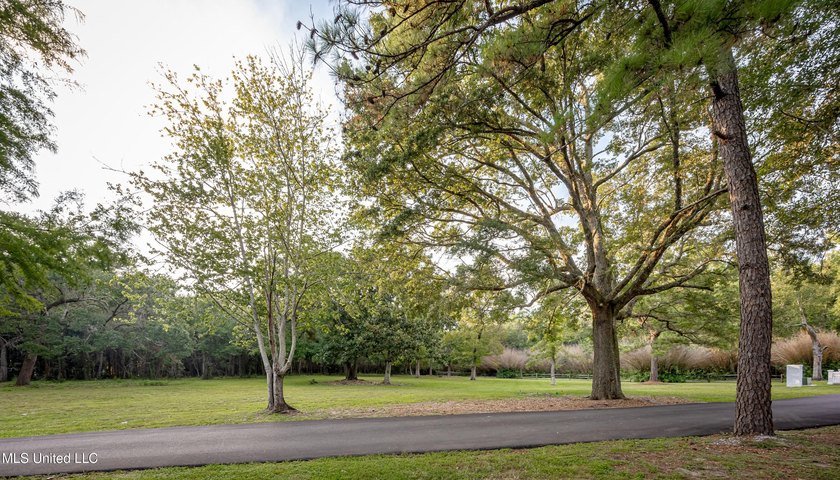 Gorgeous, centuries-old majestic oaks line these level, one-acre - photo 6