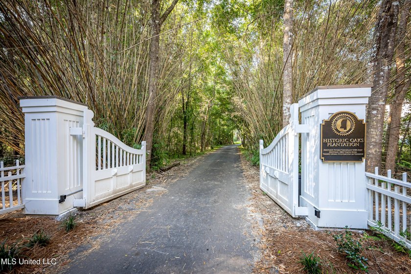 Gorgeous, centuries-old majestic oaks line these level, one-acre - photo 7