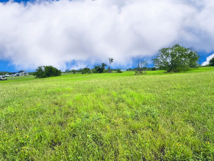 Big Texas Skies - Lakeside Homesite in Desired Subdivision - photo 18