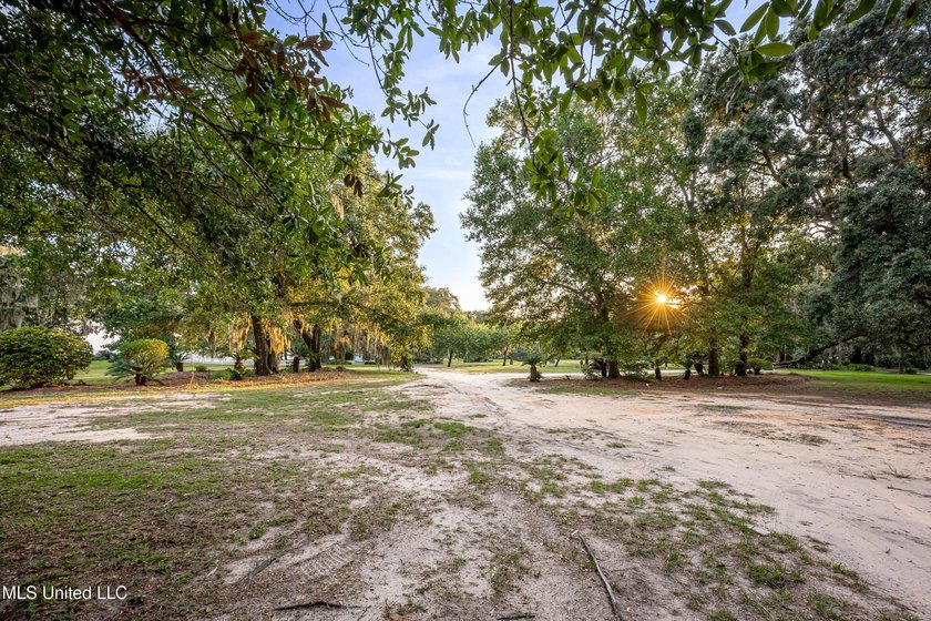 Gorgeous, centuries-old majestic oaks line these level, one-acre - photo 2