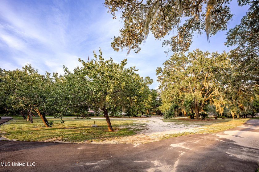 Gorgeous, centuries-old majestic oaks line these level, one-acre - photo 3