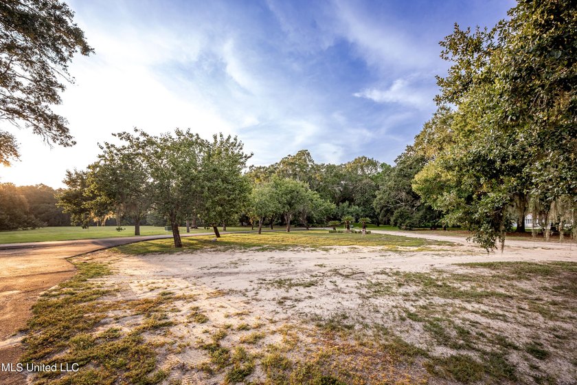 Gorgeous, centuries-old majestic oaks line these level, one-acre - photo 4