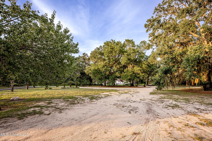 Gorgeous, centuries-old majestic oaks line these level, one-acre - photo 6