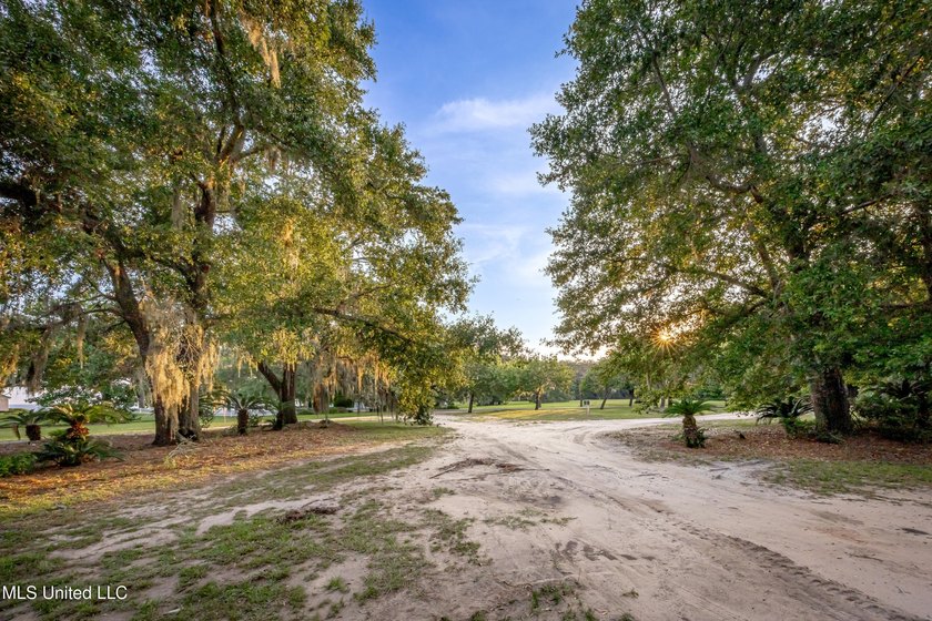 Gorgeous, centuries-old majestic oaks line these level, one-acre - photo 7