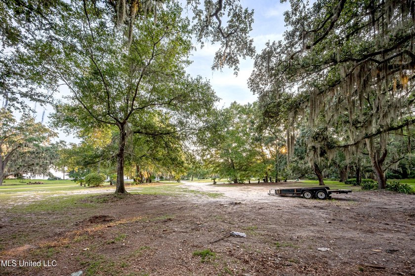 Gorgeous, centuries-old majestic oaks line these level, one-acre - photo 9