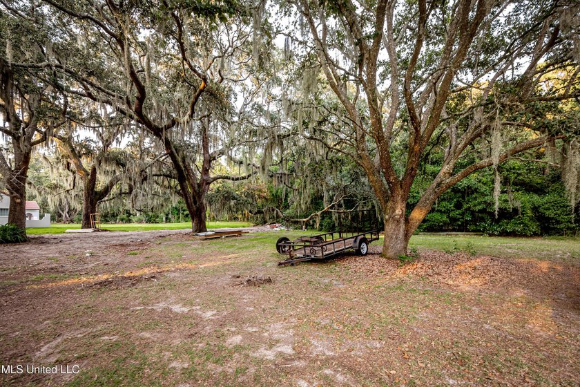 Gorgeous, centuries-old majestic oaks line these level, one-acre - photo 10