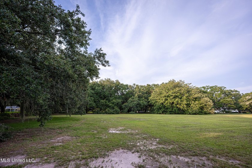 Gorgeous, centuries-old majestic oaks line these level, one-acre - photo 4