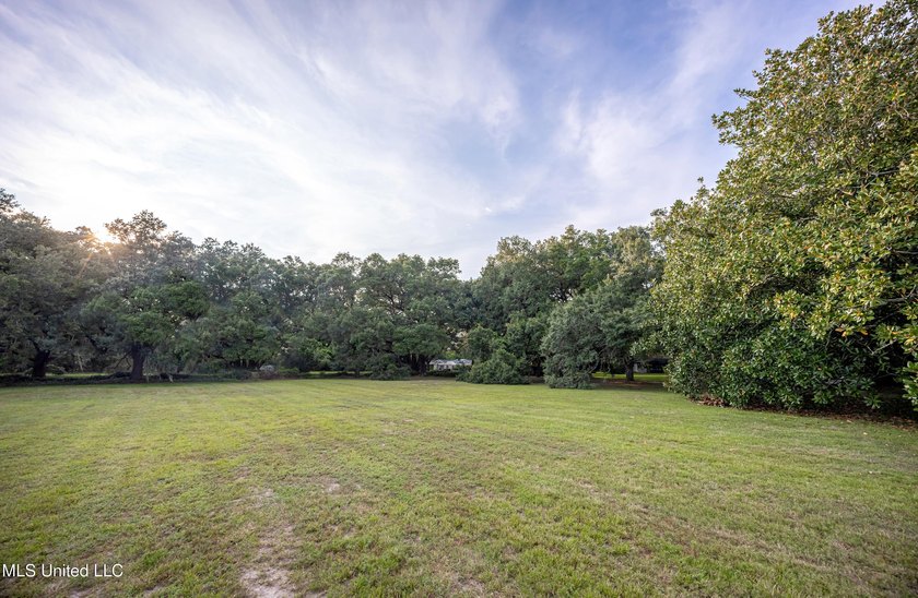 Gorgeous, centuries-old majestic oaks line these level, one-acre - photo 6