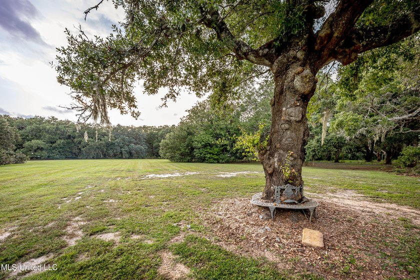 Gorgeous, centuries-old majestic oaks line these level, one-acre - photo 9