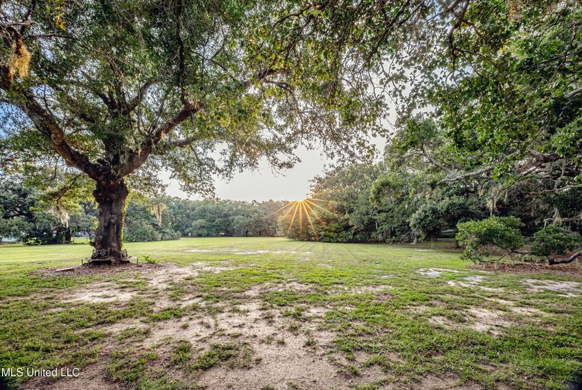 Gorgeous, centuries-old majestic oaks line these level, one-acre - photo 10