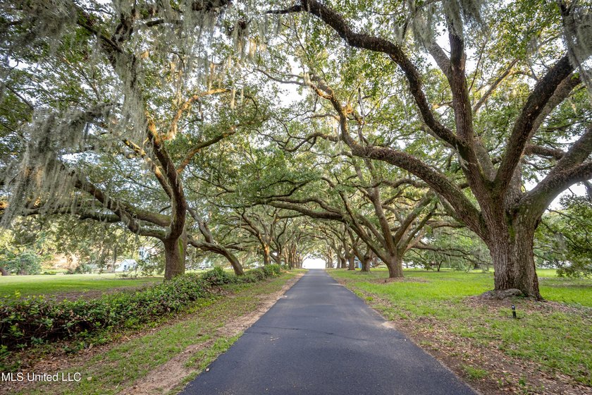Gorgeous, centuries-old majestic oaks line these level, one-acre - photo 4