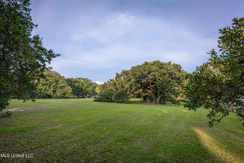 Gorgeous, centuries-old majestic oaks line these level, one-acre - photo 7