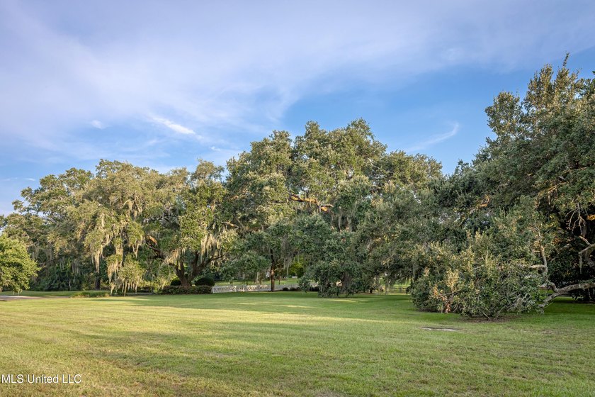 Gorgeous, centuries-old majestic oaks line these level, one-acre - photo 8