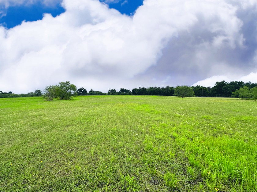 Big Texas Skies - Lakeside Homesite in Desired Subdivision - photo 3
