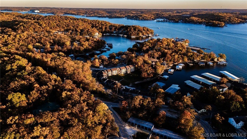Motivation, Location, and a Vacation at Lake of the Ozarks; The - photo 38