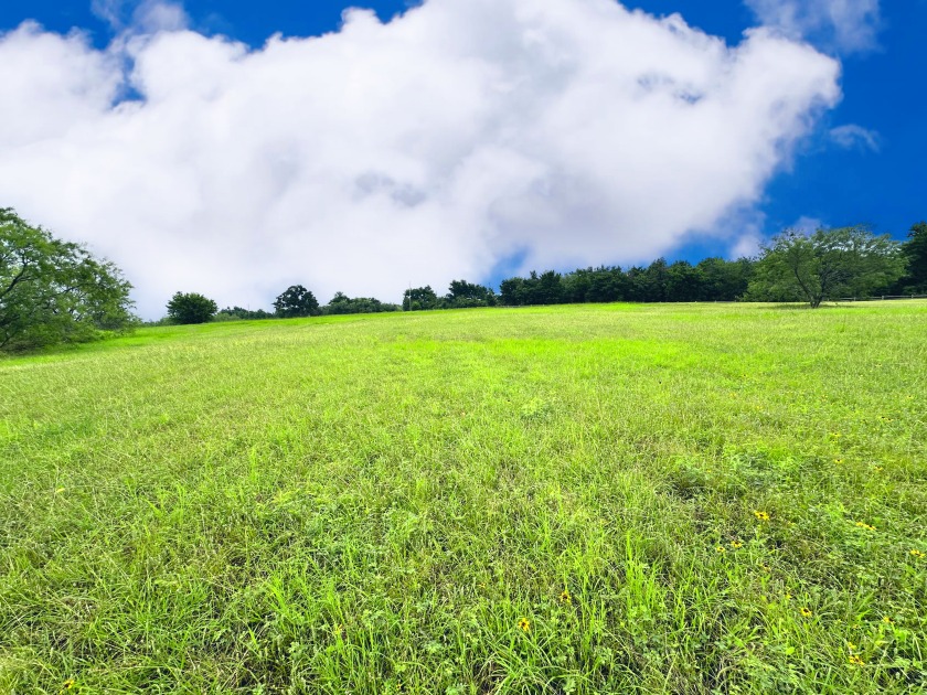 Big Texas Skies - Lakeside Homesite in Desired Subdivision - photo 4