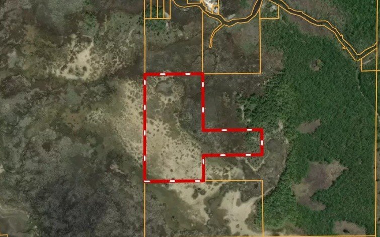 Landlocked property located in Taylor County. Property is 22.5 - photo 4