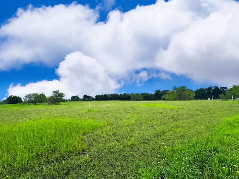 Big Texas Skies - Lakeside Homesite in Desired Subdivision - photo 8