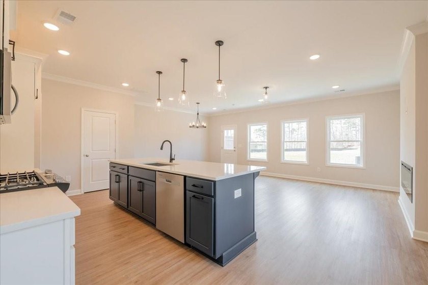 Traton Homes, Brooks elevation *E* end unit! Estimated June/July - photo 8