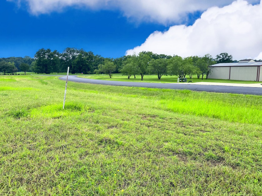 Big Texas Skies - Lakeside Homesite in Desired Subdivision - photo 2