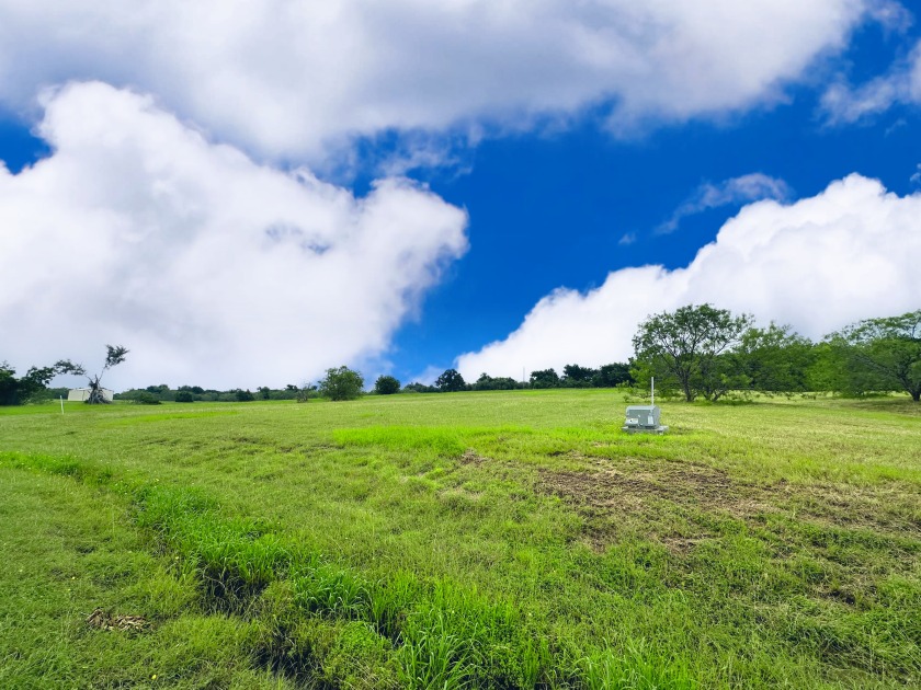 Big Texas Skies - Lakeside Homesite in Desired Subdivision - photo 13