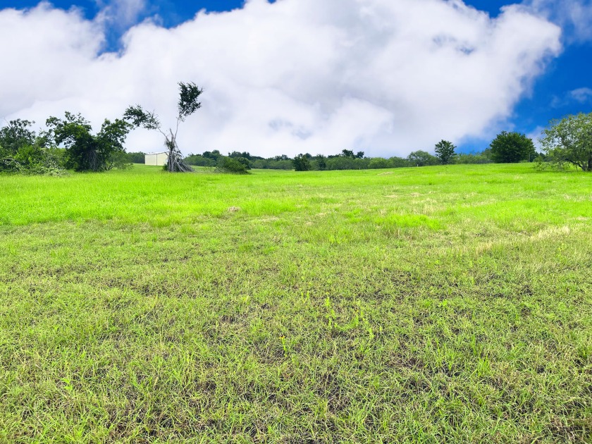 Big Texas Skies - Lakeside Homesite in Desired Subdivision - photo 22