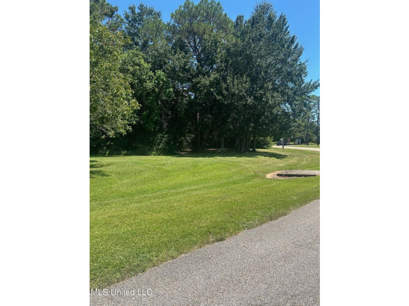 Prime lot with commercial or residential potential! Great - photo 2