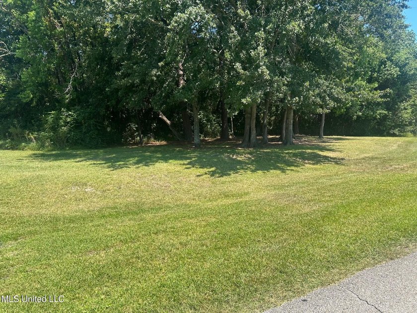 Prime lot with commercial or residential potential! Great - photo 3