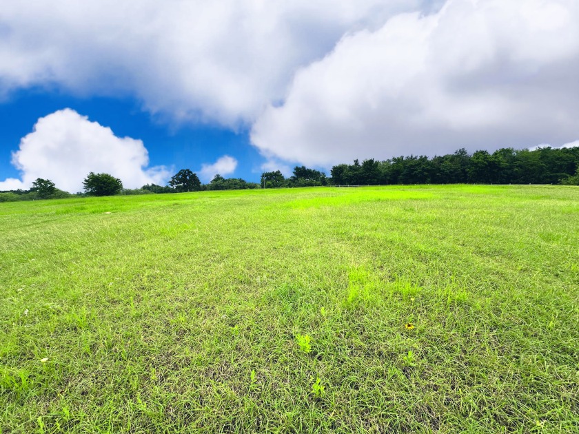 Big Texas Skies - Lakeside Homesite in Desired Subdivision - photo 9
