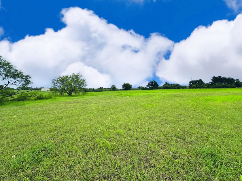 Big Texas Skies - Lakeside Homesite in Desired Subdivision - photo 11
