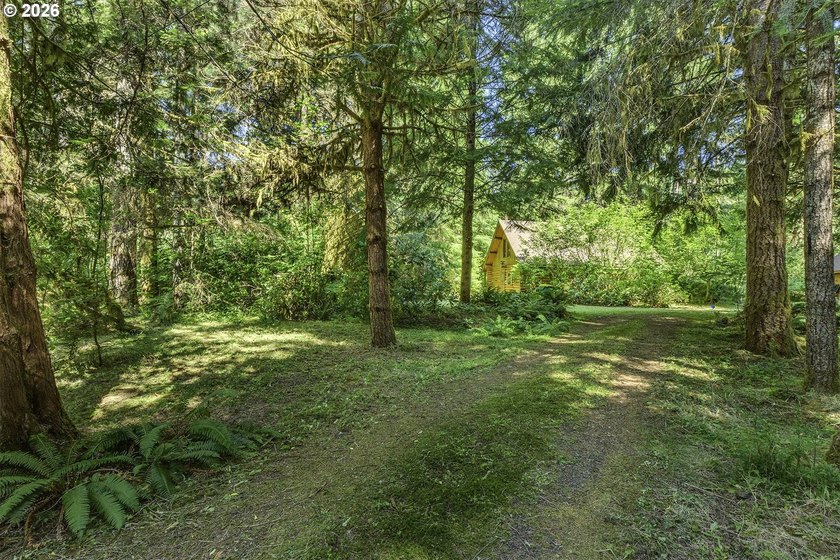 Experience a unique log cabin getaway at Fishhawk Lake, built - photo 5