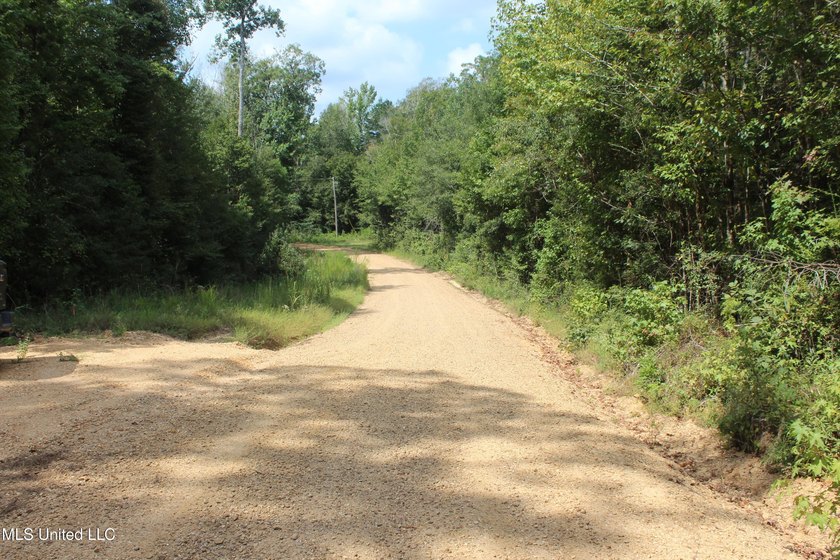 This 7.21 acre tract would make a great home or camp site - photo 3