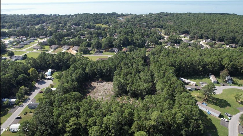 RARE 4-ACRE LOT IN PRIME GAUTIER LOCATION - A HIDDEN GEM NEAR - photo 4