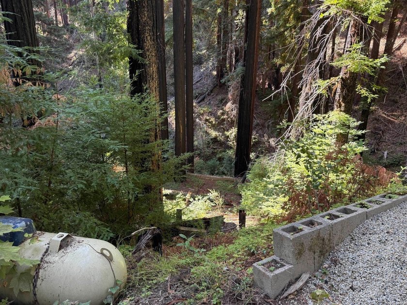 Nestled in a serene redwood forest, 449 Band Road presents a - photo 4