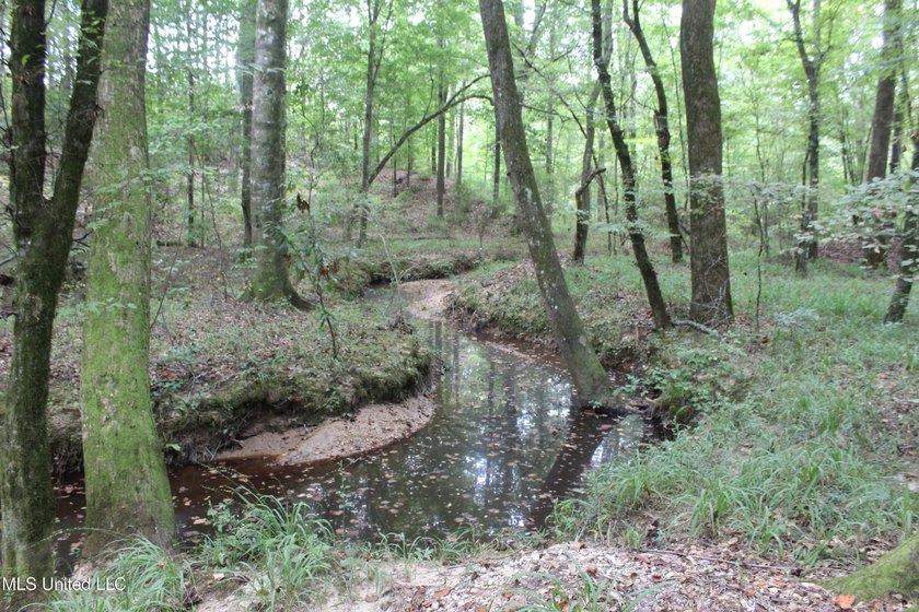 Welcome to this beautiful wooded tract of land located in - photo 5