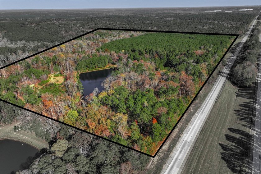 Build your dream home on this beautiful 76.24-acre property in - photo 3