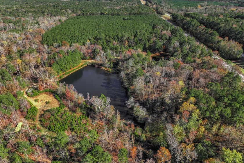 Build your dream home on this beautiful 76.24-acre property in - photo 6