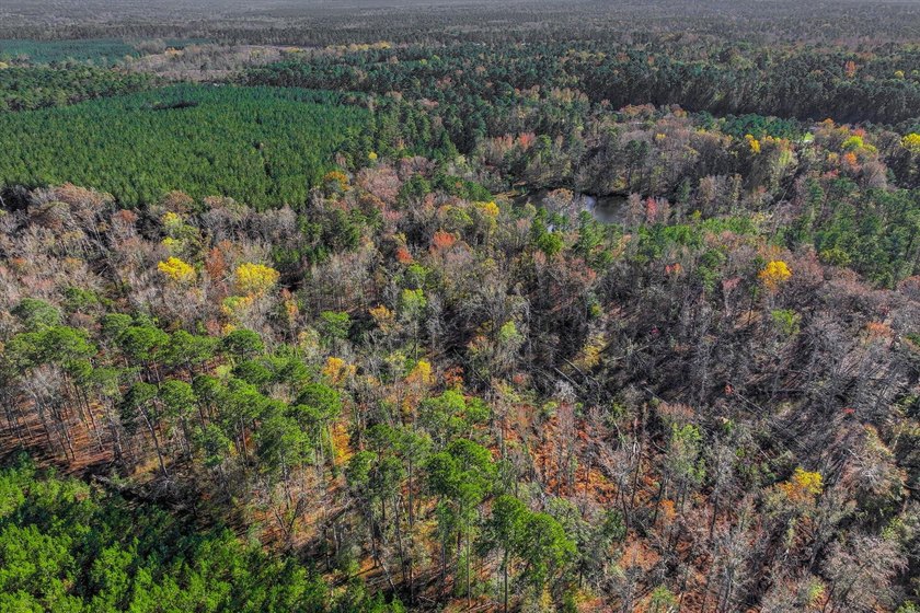 Build your dream home on this beautiful 76.24-acre property in - photo 8