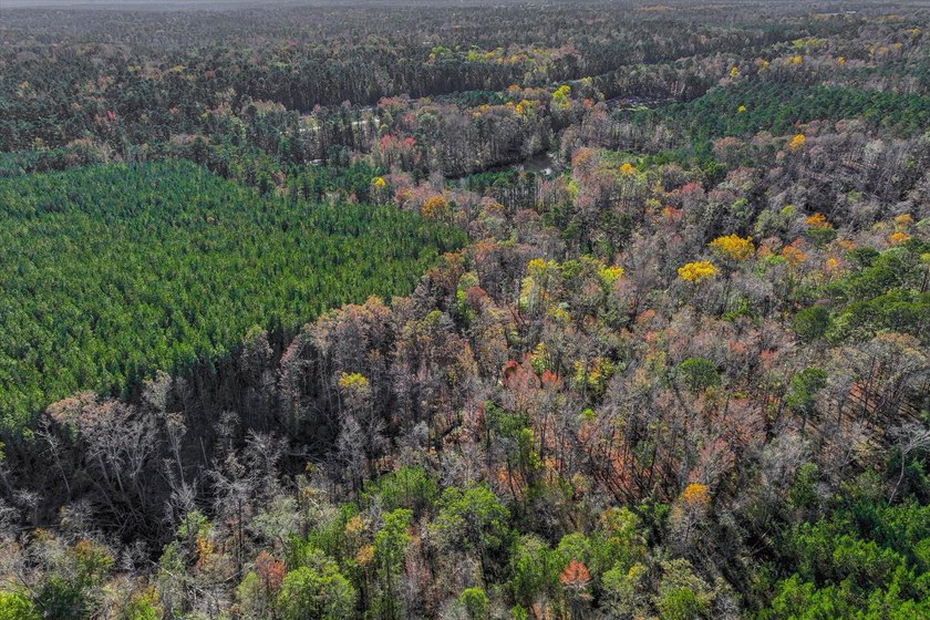 Build your dream home on this beautiful 76.24-acre property in - photo 10
