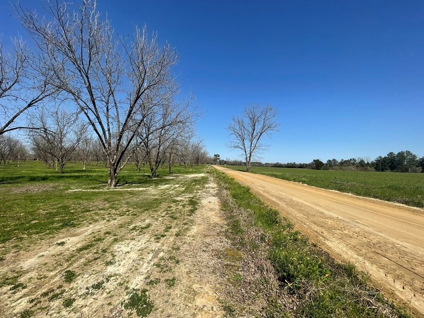 Transitional Tract. The property is currently used as a - photo 4