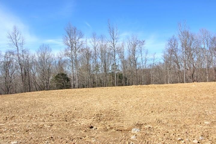AWESOME YEAR-ROUND WATER WITH SEASONAL LAKE VIEWS! NEW PRICE! - photo 12