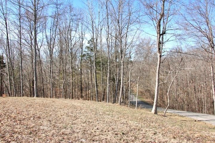 AWESOME YEAR-ROUND WATER WITH SEASONAL LAKE VIEWS! NEW PRICE! - photo 14