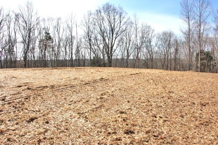 AWESOME YEAR-ROUND WATER WITH SEASONAL LAKE VIEWS! NEW PRICE! - photo 17