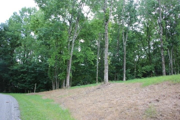 AWESOME YEAR-ROUND WATER WITH SEASONAL LAKE VIEWS! NEW PRICE! - photo 24