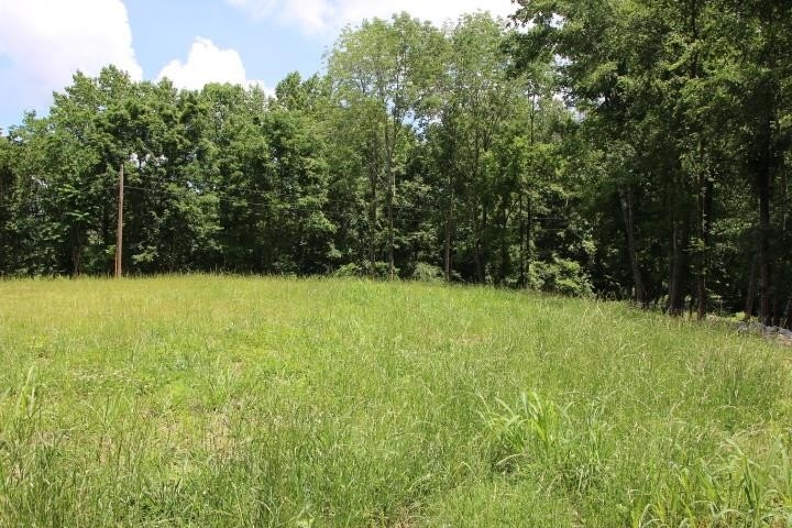 AWESOME YEAR-ROUND WATER WITH SEASONAL LAKE VIEWS! NEW PRICE! - photo 29