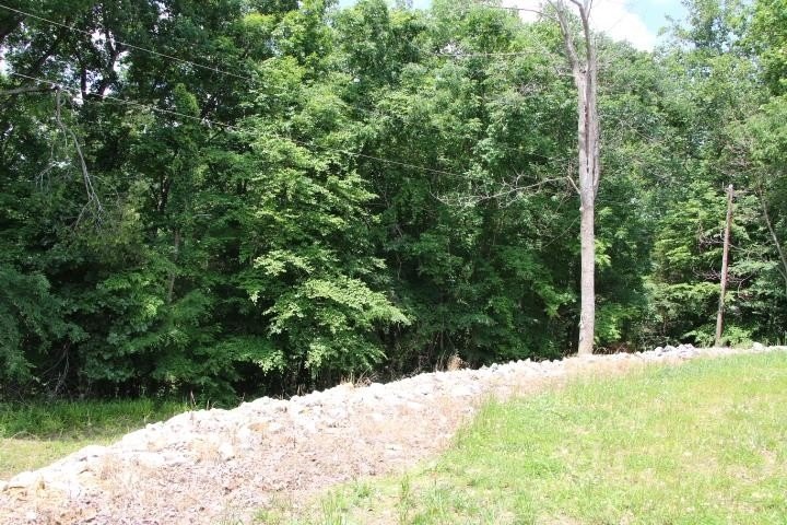 AWESOME YEAR-ROUND WATER WITH SEASONAL LAKE VIEWS! NEW PRICE! - photo 36