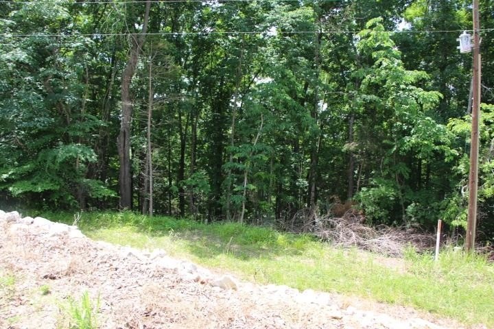 AWESOME YEAR-ROUND WATER WITH SEASONAL LAKE VIEWS! NEW PRICE! - photo 38