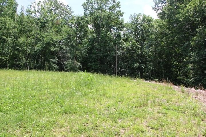 AWESOME YEAR-ROUND WATER WITH SEASONAL LAKE VIEWS! NEW PRICE! - photo 40