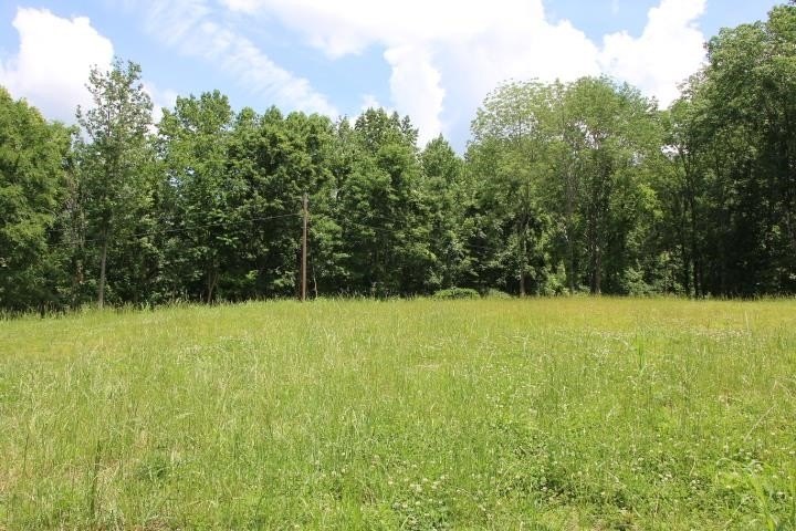 AWESOME YEAR-ROUND WATER WITH SEASONAL LAKE VIEWS! NEW PRICE! - photo 41